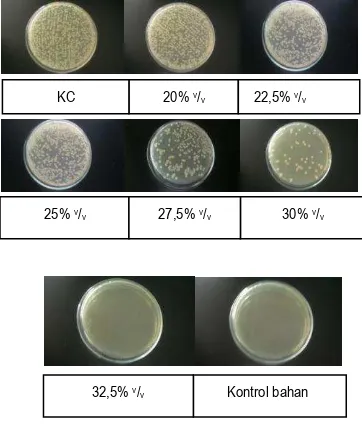 Gambar 5.2 Pertumbuhan Koloni Candida albicans Tiap Konsentrasi   Ekstrak etanol daun Kopi robusta pada SDA plate 