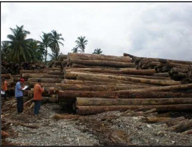 Gambar 2.9. Salah satu manfaat hutan sebagai sumber kayu 