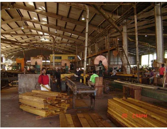 Gambar 2.10. Industri pengolahan kayu sebagai salah satu dampak positif pemanfaatan hutan 