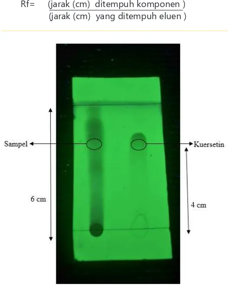 Gambar 2. Proil kromatograi lapis tipis fraksi etil asetat daun daun lado-lado, fase gerak heksan – etil asetat (5:5) pada panjang gelombang λ 254 nm