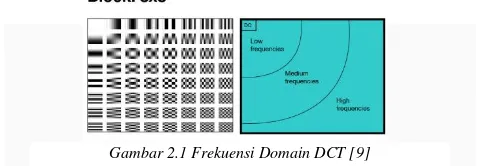 Gambar 2.1 Frekuensi Domain DCT [9] 