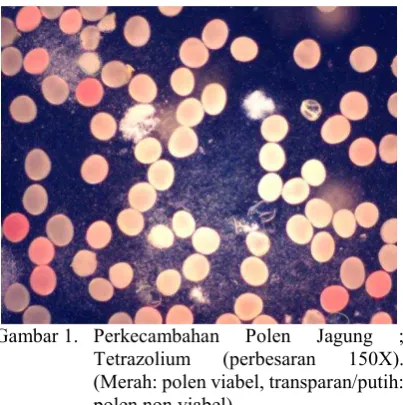 Gambar 1. Perkecambahan 