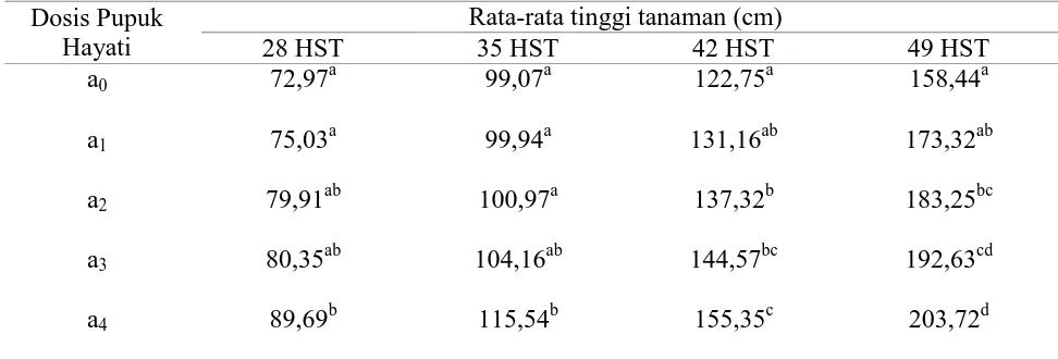 Tabel 1. Hasil uji beda rata-rata tinggi tanaman jagung manis umur 28, 35, 42 dan 49 HST 