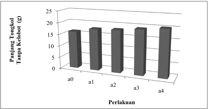 Gambar 4. Grafik hubungan pemberian pupuk hayati terhadap rata-rata panjang tongkol tanpa kelobot 