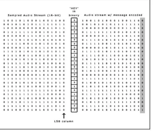 Figure 2: Least Signiicant Bit Insertion