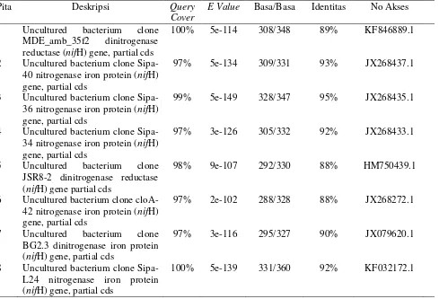 Tabel 6 Hasil BLAST-N sekuen dari gen nifH 