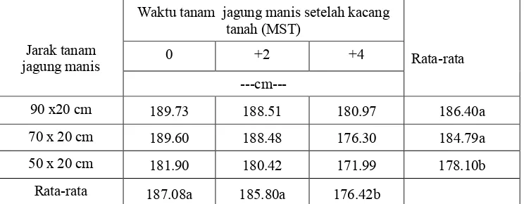 Tabel 1. Tinggi tanaman jagung manis umur 7 MST  kajian variasi jarak danwaktu tanam jagung manis dalam sistem  tumpangsari jagung manisdan kacang tanah.