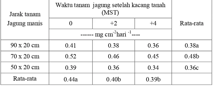 Tabel  4.tanaman  jagung pada umur 45-55 HST  kajian variasi jarak danwaktu tanam jagung manis dalam sistem  tumpangsari jagung manisdan kacang tanah.