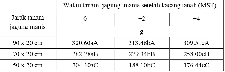 Tabel 5.  Berat tongkol dengan klobot (g)  jagung manis kajian variasi jarak danwaktu tanam jagung manis dalam sistem  tumpangsari jagung manisdan kacang tanah.