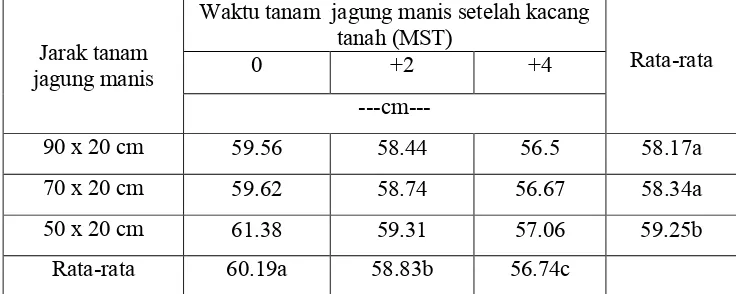 Tabel 8. Tinggi tanaman kacang tanah  kajian variasi jarak dan waktu tanamjagung manis dalam sistem  tumpangsari jagung manis dan kacangtanah.