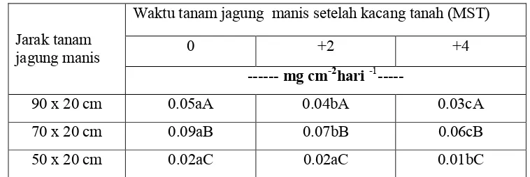 Tabel 10.tanaman kacang tanah (45-55 HST)  kajian variasi jarak danwaktu tanam jagung manis dalam sistem  tumpangsari jagung manisdan kacang tanah.