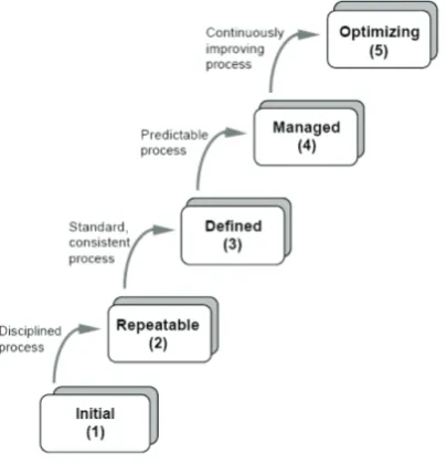 Figure 1 shows the deinition of each level under CMM. This would help an organisation to determine the phases of each level while undergoing transformation