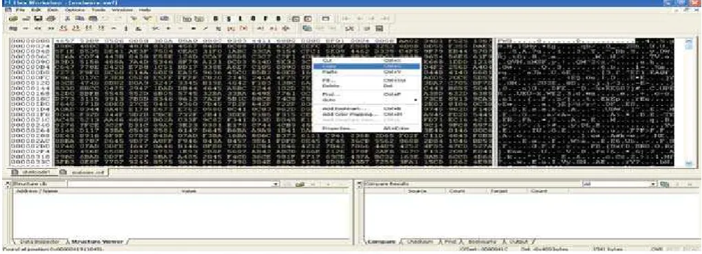 Figure 6: Copy the Obfuscated Shellcode from Malicious SWF File