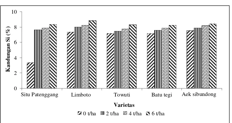 Gambar 1.  Pemberian berbagai dosis abu sekam pada lima varietas padi gogo pada kondisi 80 persen kapasitas lapang terhadap kandungan silikat daun