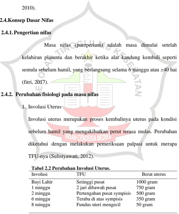 Tabel 2.2 Perubahan Involusi Uterus. 