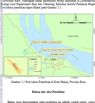 Gambar 2.1 Peta lokasi Penelitian di Kota Dumai, Provinsi Riau 