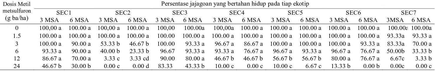 Tabel 2. Rataan jajagoan (E. crusgalli) yang bertahan hidup terhadap pemberian herbisida metil metsulfuron