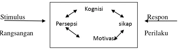 Gambar 1: Model Pembentukan Citra 