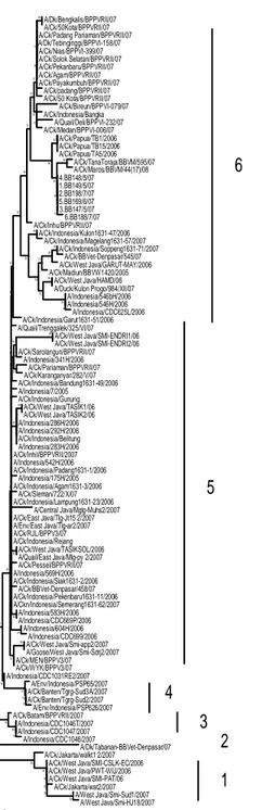 Gambar 2.  Phylogenetik tree hemaglutinin (HA1) virus AI Indonesia tahun 2006- 2006-2007