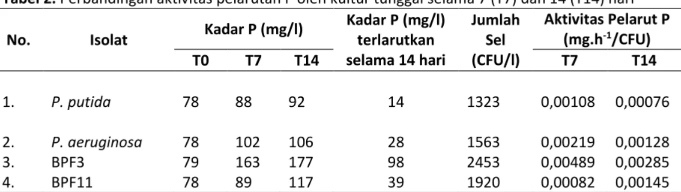 Tabel 2. Perbandingan aktivitas pelarutan P oleh kultur tunggal selama 7 (T7) dan 14 (T14) hari  No