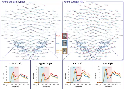Figure 1 TOP 