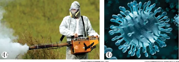 Gambar 12.  Contoh Mutagen: (a) Pestisida dan (b) Virus