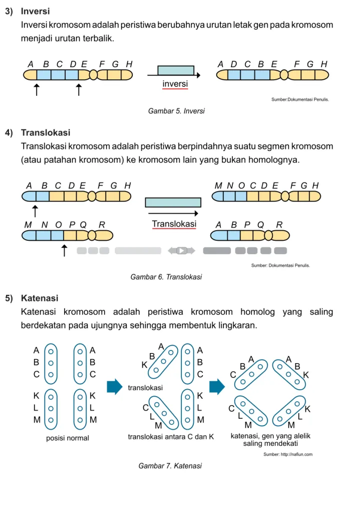 Gambar 5. Inversi
