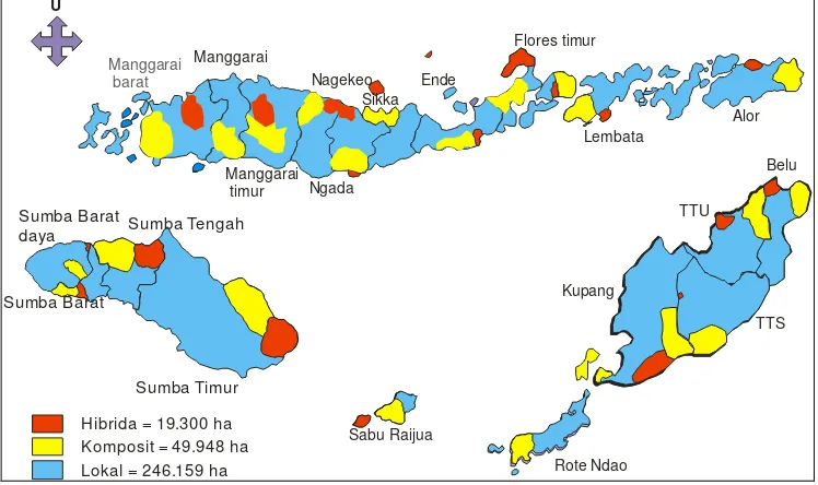 Gambar 1. Peta penyebaran varietas jagung di Provinsi NTT 