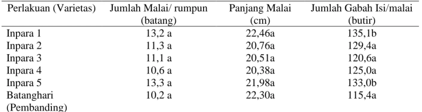 Tabel  4  menunjukkan varietas Inpara 5  menghasilkan rata-rata persentase gabah  isi  lebih  besar  (69,3)  dibading  varietas  lainnya