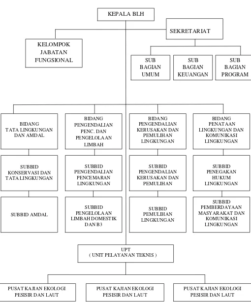 Gambar 2.1Struktur Organisasi Badan Lingkungan Hidup Pemerintah Provinsi Sumatera Utara 