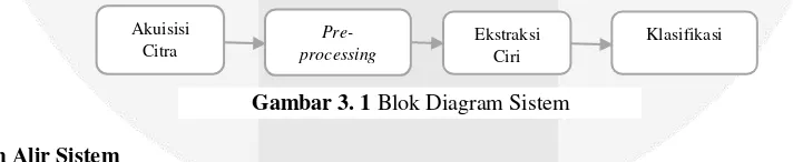 Gambar 3. 1 Blok Diagram Sistem 