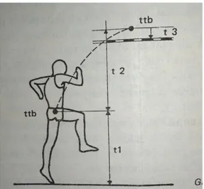 Gambar 6.  Komponen gerakan               U. Jonath dkk (atletik 1987: 246) 