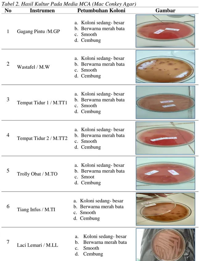 Tabel 2. Hasil Kultur Pada Media MCA (Mac Conkey Agar) 