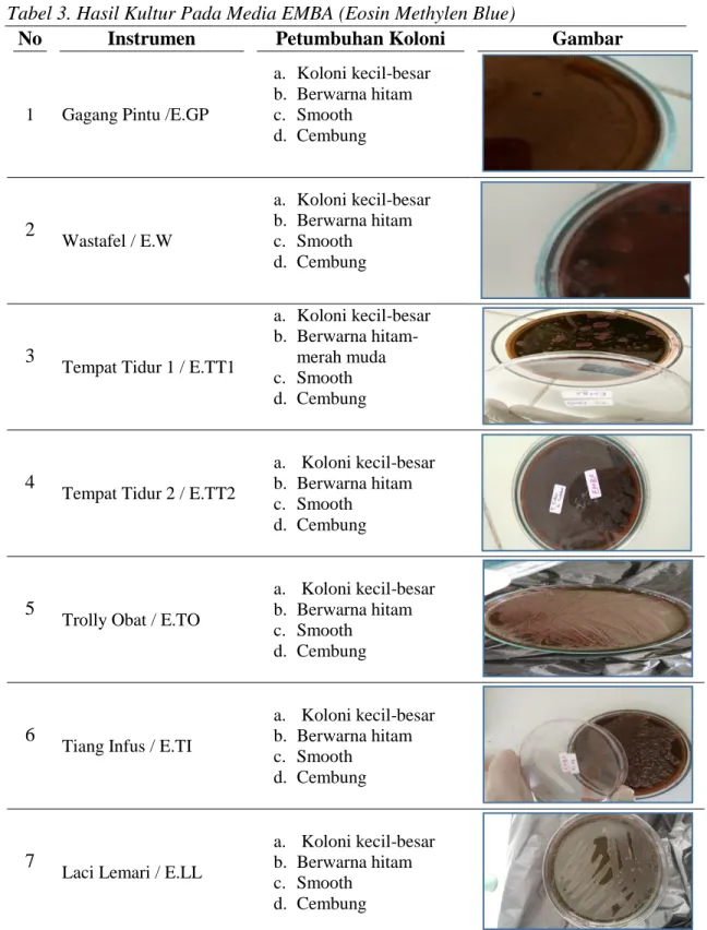 Tabel 3. Hasil Kultur Pada Media EMBA (Eosin Methylen Blue) 