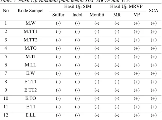 Tabel 5. Hasil Uji Biokimia pada media SIM, MRVP dan SCA 