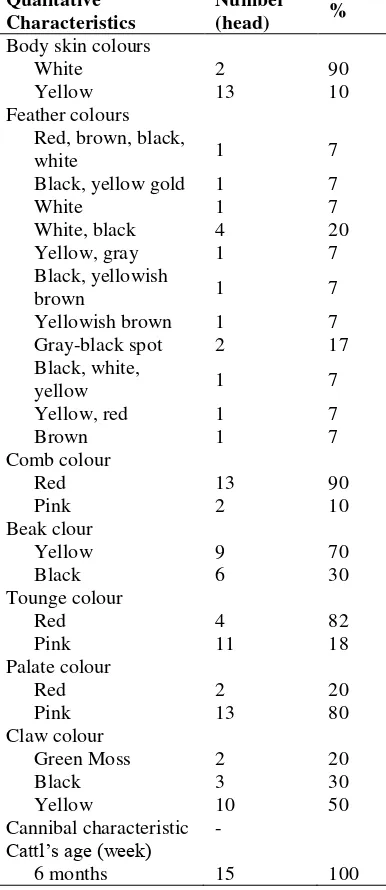 Table 2. Qualitative Characteristics of Male Typical Dayak Native Chicken (n= 5) 