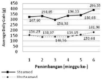 Figure 1. Influence of Steamed and unsteamed feed on average daily gain of sheep 