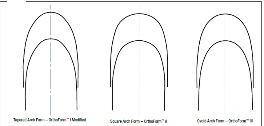 Gambar 1. Tipe bentuk lengkung gigi menurut Clarity, MBT4 