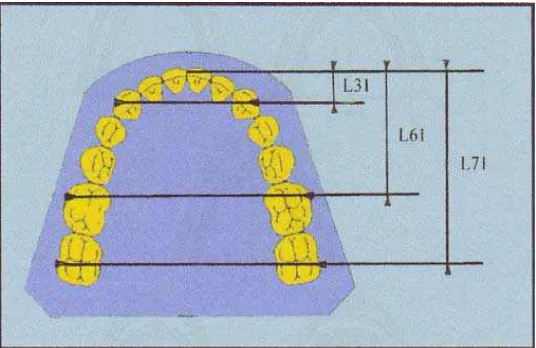 Gambar 10. Pengukuran lengkung gigi dalam arah sagital.6 