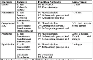 Tabel 2.6 Jenis dan Lama Pemberian Antibiotik yang       direkomendasikan berdasarkan Tipe ISK 