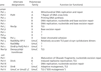 Table 1. Biochemically documented template-dependent DNA polymerases found in humansor E