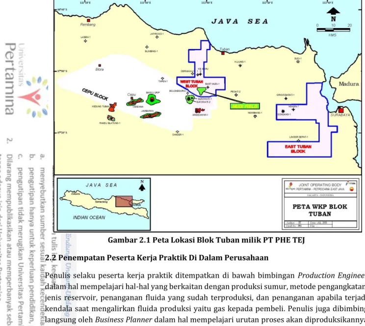 Gambar 2.1 Peta Lokasi Blok Tuban milik PT PHE TEJ   2.2 Penempatan Peserta Kerja Praktik Di Dalam Perusahaan  