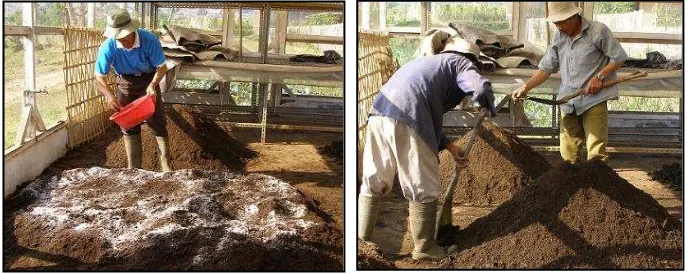 Gambar 4. Bahan pengkaya kompos seperti P-alam, dolomit, dan mikroba (kiri) dan proses pengayakan kompos yang telah matang sebelum ditambah bahan pengkaya (kanan)  