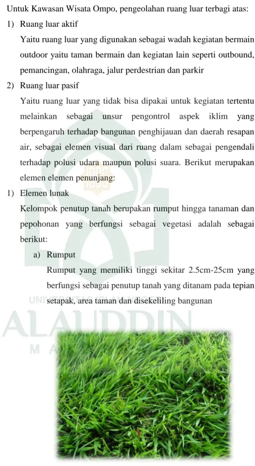 Gambar III. 28. Rumput jepang 