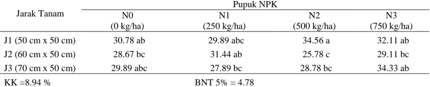 Tabel 1. Rata-rata tinggi tanaman bawang merah pada umur 8 MST pada perlakuan   jarak tanam dan  pupuk NPK dalam sistem tumpangsari cabai dengan bawang merah di tanah gambut 