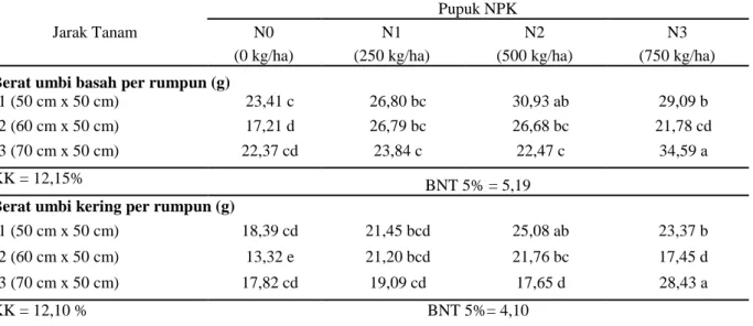Tabel  2.  Rata-rata  produksi  tanaman  bawang  merah  pada  perlakuan  jarak  tanam  dan  pupuk  NPK  dalam sistem tumpangsari cabai dengan bawang merah di tanah gambut 