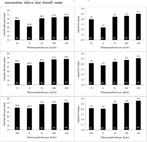 Gambar 4.  Nilai klorofil meter dan bagan warna daun (BWD) pada tingkat takaran pupuk nitrogen Roy Efendi, Suwardi, dan Zubachtirodin : Penentuan Takaran Pupuk Nitrogen pada Jagung Berdasarkan 