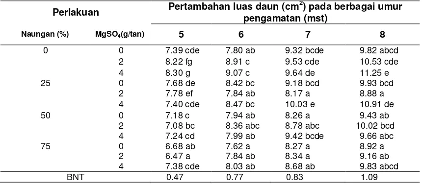 Tabel 1 Panjang tanaman Syzygium oleana per tanaman pada perlakuan naungan 