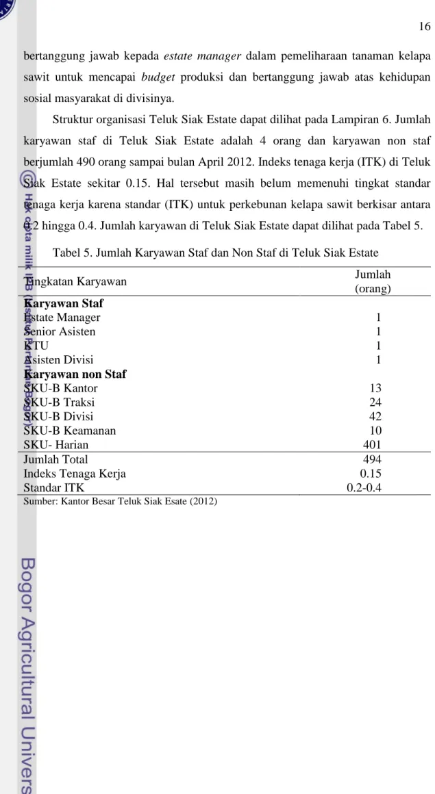 Tabel 5. Jumlah Karyawan Staf dan Non Staf di Teluk Siak Estate 
