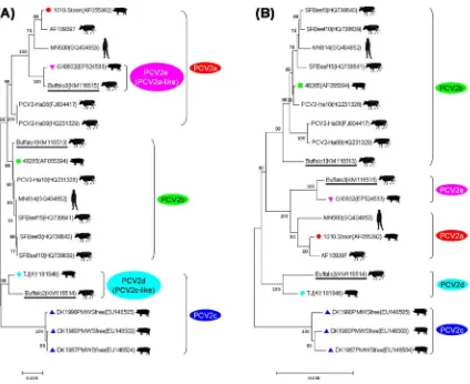 Fig. 2. Phylogenetic analysis of our three buffalo-origin PCV2 strains and other reference strains